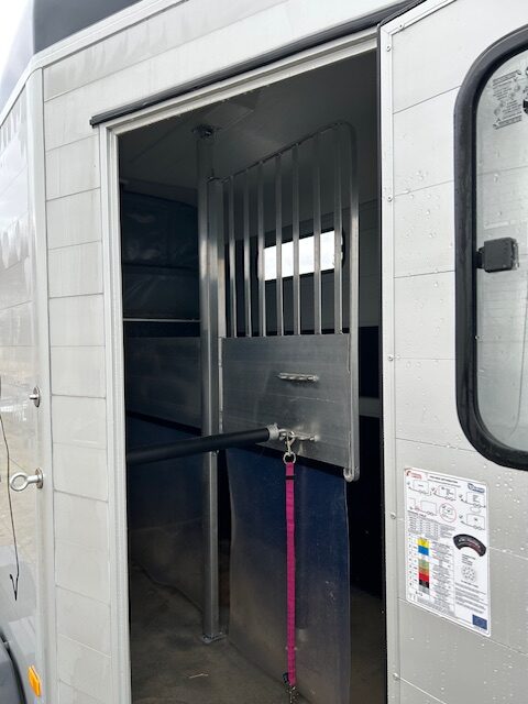 Cheval Liberté Touring -21